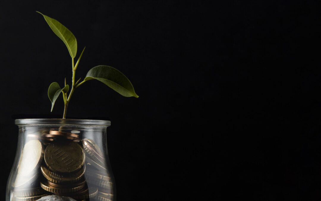 Odměňování zaměstnanců